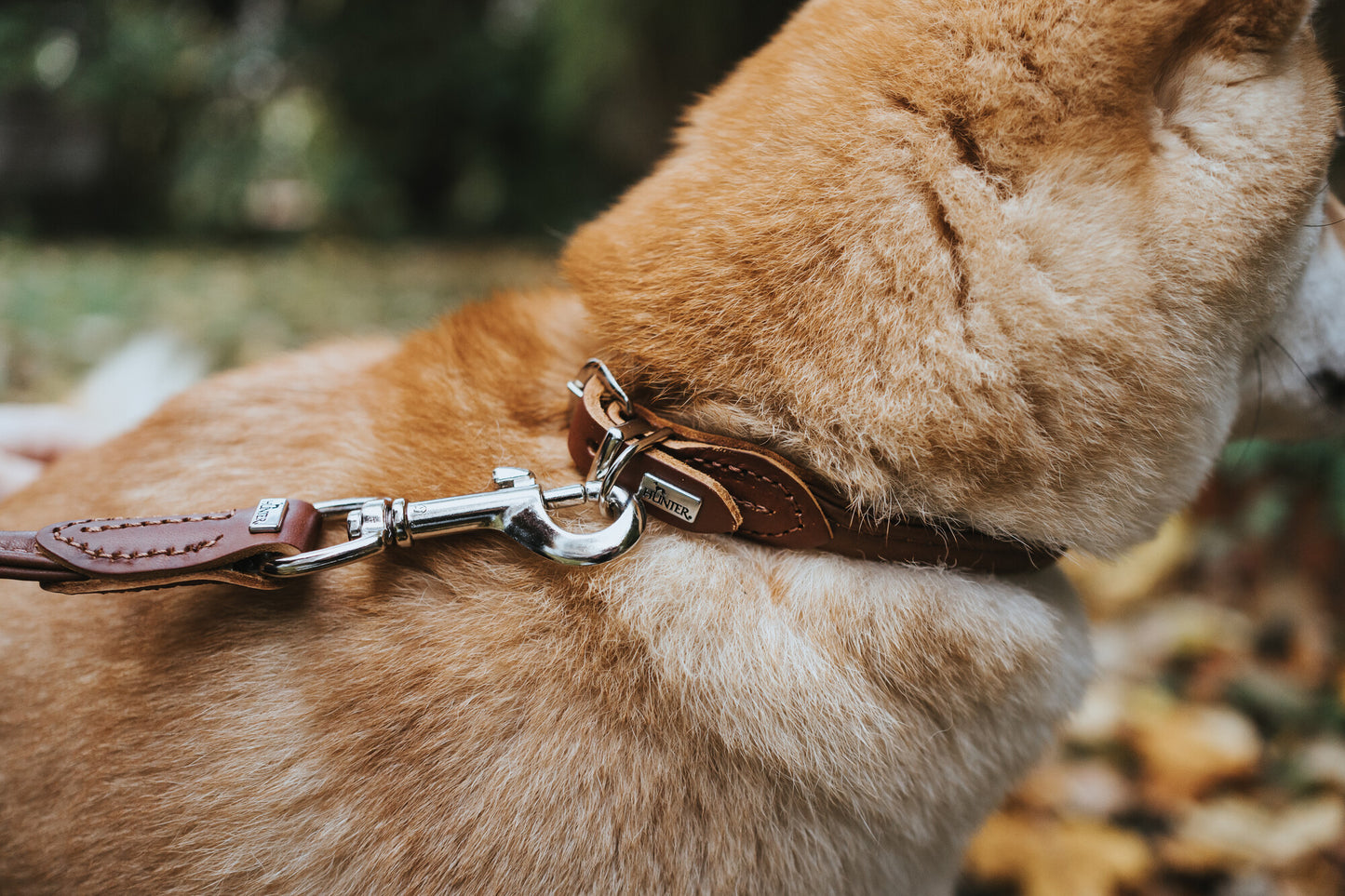 COLLAR Round & Soft - 100% Cuero