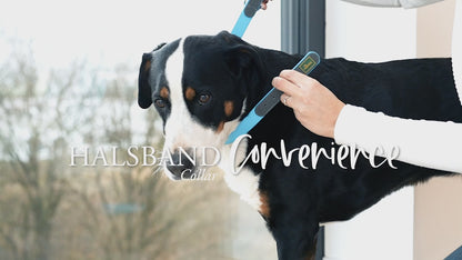 COLLAR - Convenience